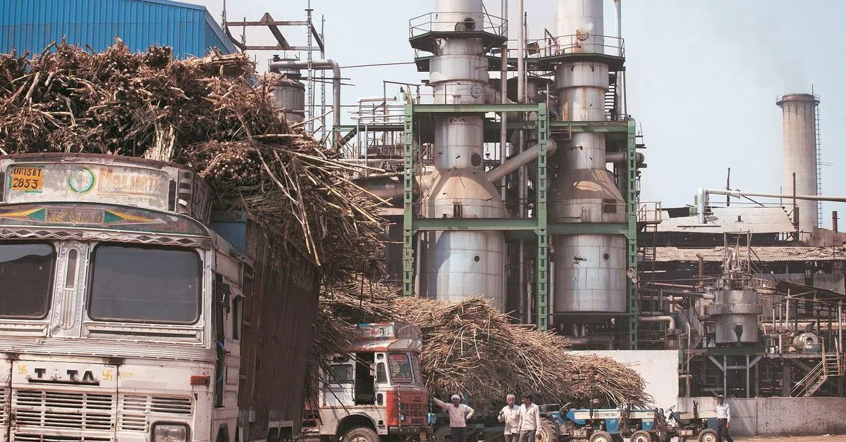 Balrampur Chini Mills Forges Green Future with ₹3,000 Crore Bio-Plastic Plant, Targeting ₹2,000 Crore Revenue