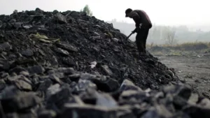 Coal India Shares Plunge Amid Reports of Government Stake Divestment; Rs 10,000 Crore OFS Anticipated