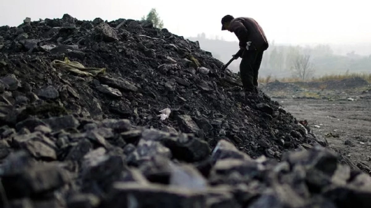 Coal India Shares Plunge Amid Reports of Government Stake Divestment; Rs 10,000 Crore OFS Anticipated