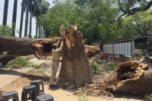 Devastating Pre-Monsoon Storm Ravages Uttar Pradesh: A Comprehensive Analysis of the 111-Death Toll and Meteorological Factors