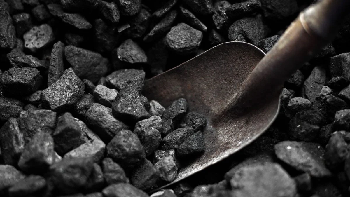 Government Confirms Major Coal India OFS: Up to 2% Stake Sale Underway at Discounted Price