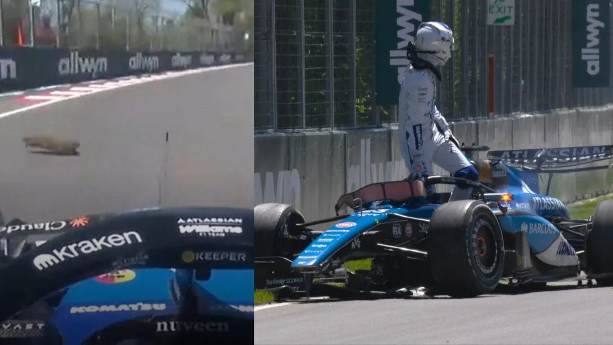 Groundhog Day Revisited: Marmot Mayhem Derails Alex Albon’s Canadian GP Practice