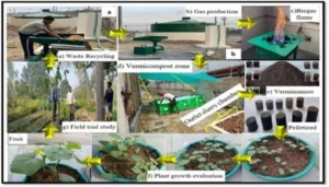 Rajiv Gandhi Institute of Petroleum Technology Pioneers Integrated Zero-Waste Ecosystem, Setting National Benchmark for Circular Economy