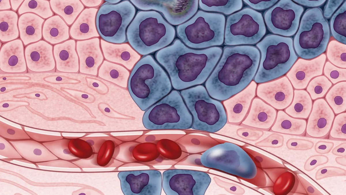The "Self-Aware" Diagnostic Assistant: How HISTO-UNet is Redefining the Precision of Cancer Pathology