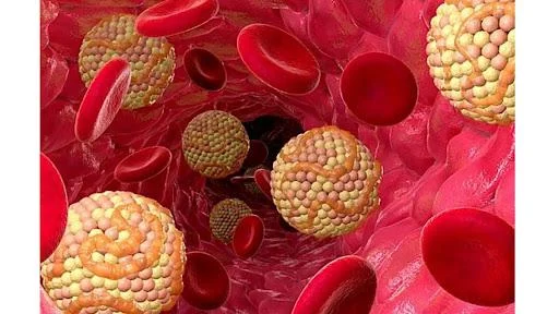 A Paradigm Shift in Metabolic Medicine: Indian Scientists Unlock a Mechanical Pathway to Lower Blood Lipids
