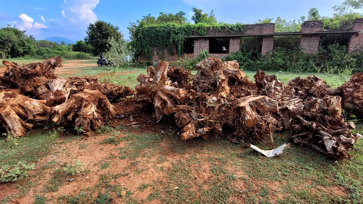 From Discarded to Desired: Bengaluru Innovators Breathe New Life into Wood Waste