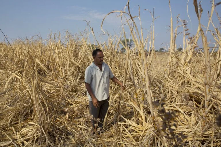 India Braces for El Niño: Government Identifies 315 Vulnerable Districts Amid Weak Monsoon Forecast
