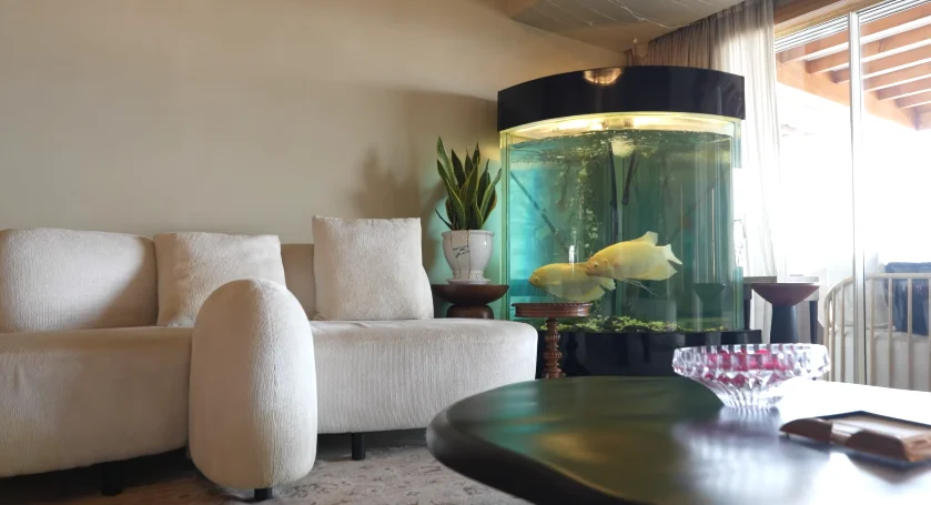 Inside Tamannaah Bhatia’s Serene Mumbai Abode: A Glimpse into Elegance and Personal Touches