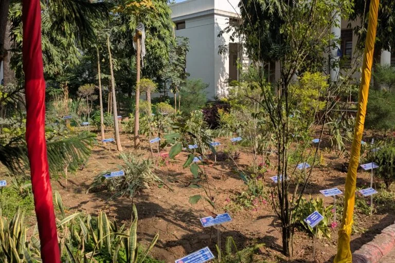 The Living Fossil and the Future of Clean Air: Delhi University’s Carbon Garden Initiative