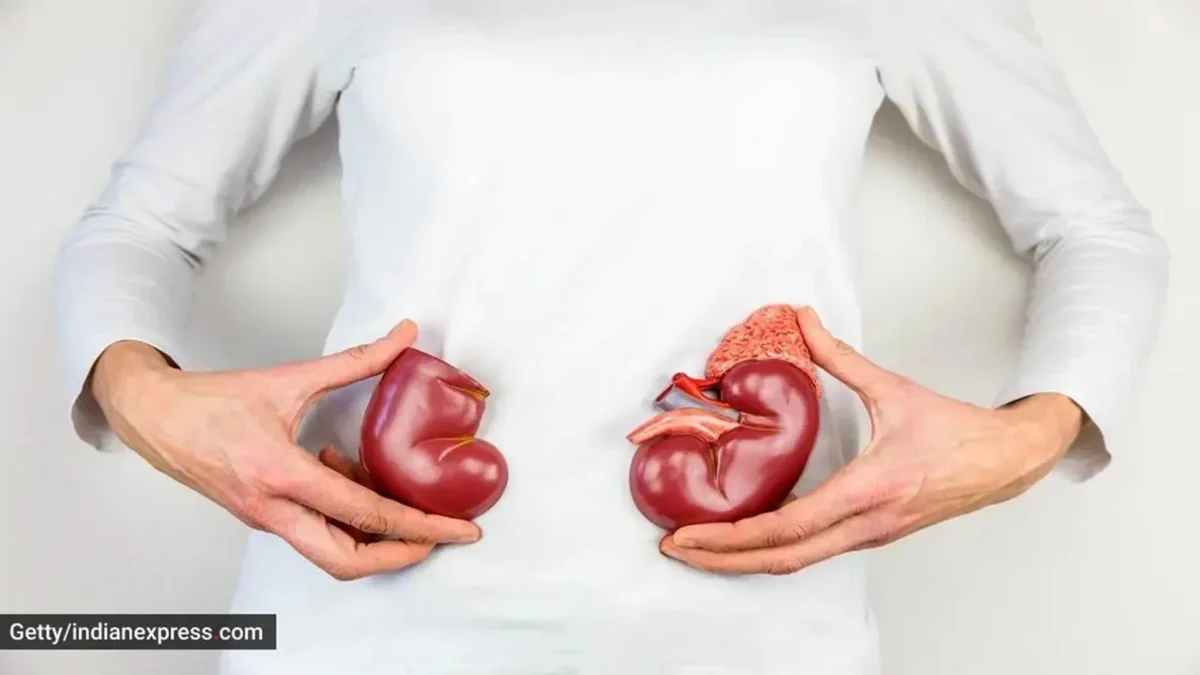 The Silent Threat: How Chronic Kidney Disease Can Lead to Dangerous Low Blood Sugar