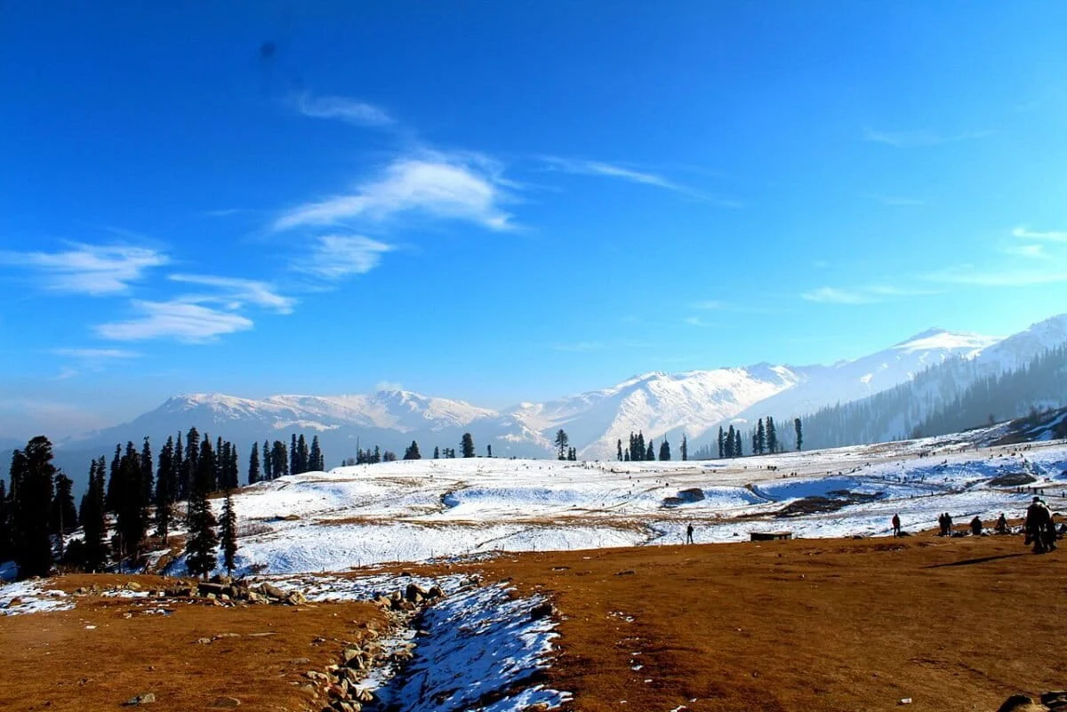 The Warming Altimeter: How Rising Temperatures and Human Encroachment are Incinerating the Western Himalayas