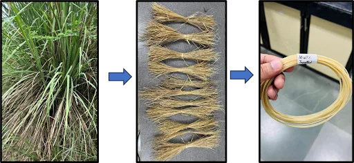 From Wasteland to Workshop: How IIT Bombay is Revolutionizing Manufacturing with Grass-Reinforced Composites
