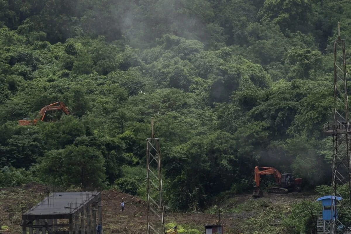 Headline: Guardians of the Wild or Clearance House? Former Forest Officials Challenge India’s Wildlife Board in Landmark Legal Battle