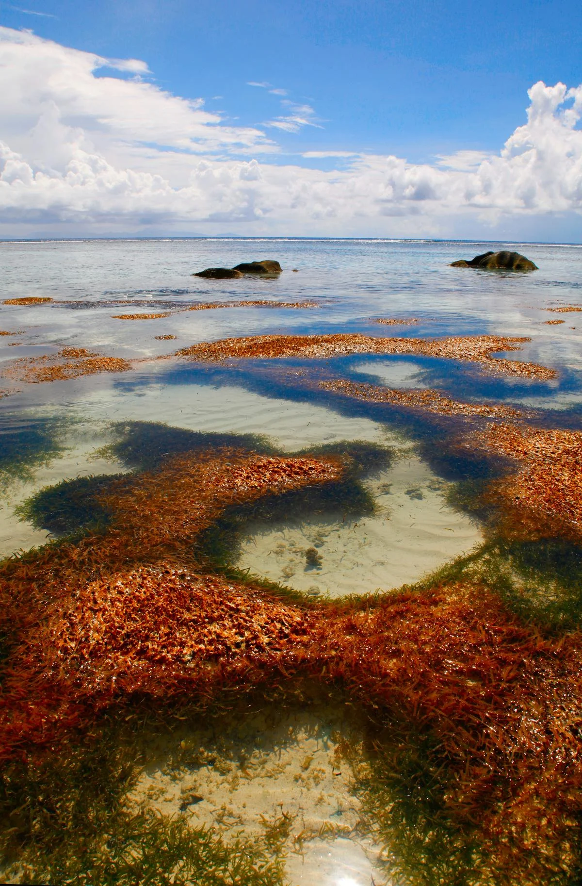 Mauritius: Where Luxury Tourism Becomes a Force for Ecological Renaissance