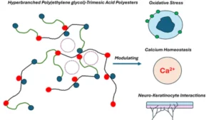 Pioneering the Future of Regenerative Medicine: Hyperbranched Polymer Scaffolds to Revolutionize Wound Healing and Nerve Repair