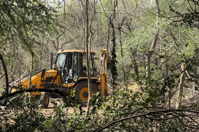 The Battle for the Lungs of Delhi: Can the Central Ridge Survive Its Own Restoration?