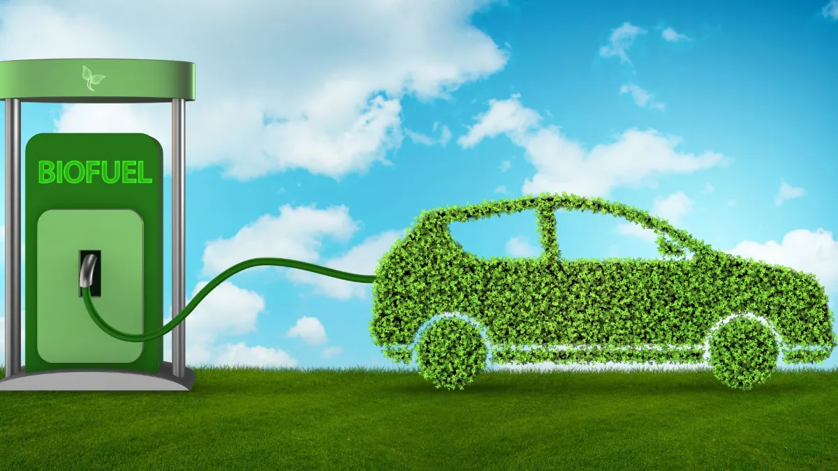 The Green Paradox: Assessing the Precarious Balance Between India’s Biofuel Ambitions and National Food Security
