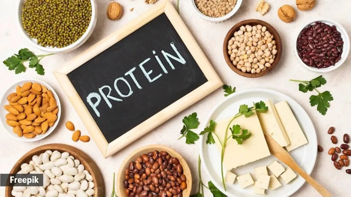 The Protein Paradigm: Decoding the Vital Role of Macronutrients in Aging and Women’s Health