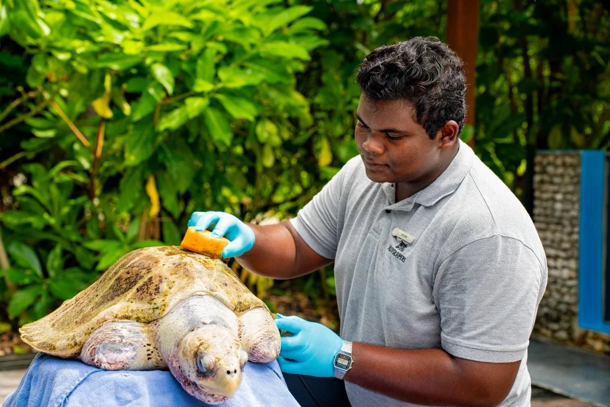 2026: The Year of Holistic Travel and Rejuvenation, Embodied by the Maldives’ Urja Wellness Sanctuary