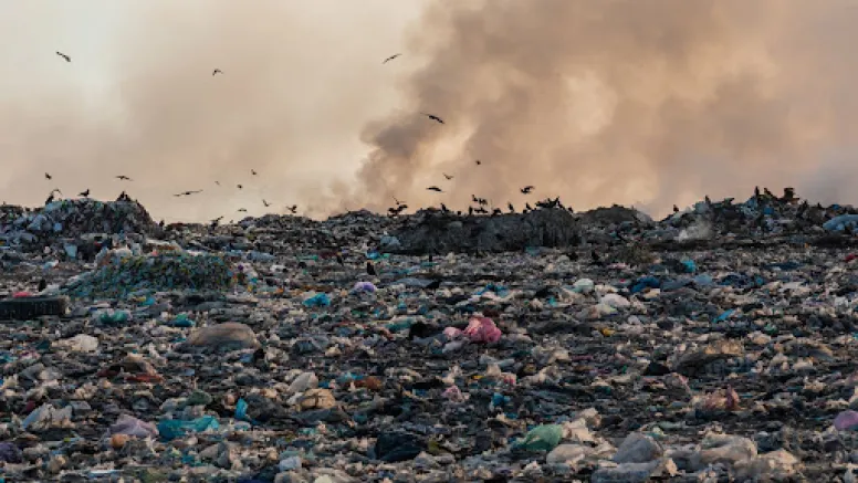 From Toxic Waste to Medical Treasure: The Discovery of Microbacterium pollutisoli in India’s Pesticide Dumpsites