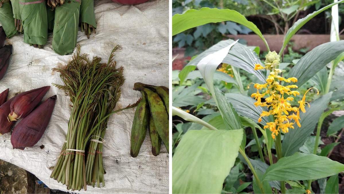 Goa’s Untamed Bounty: A Culinary and Ecological Revelation