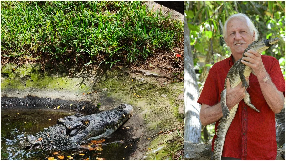 Half a Century of Conservation: The Resilient Legacy of the Madras Crocodile Bank Trust