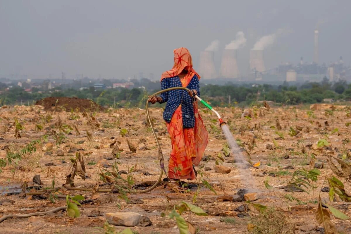 India’s Green India Mission Stalls: CAG Audit Reveals ‘Negligible’ Progress and Systematic Failures