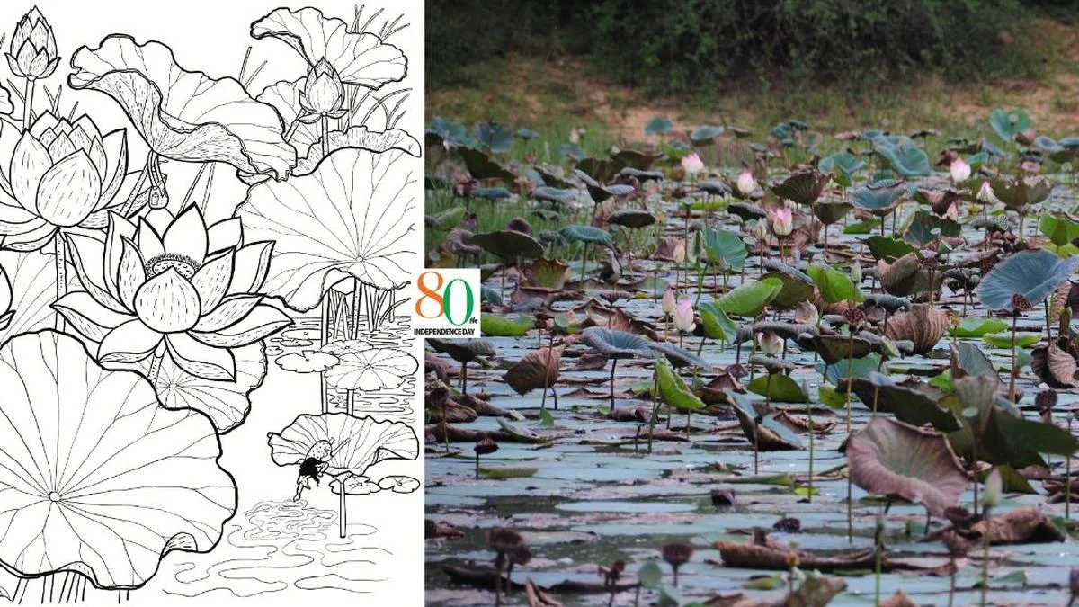 The Art of Getting Lost: Nisha Vikram and the Evolution of Craft-Centric Travel