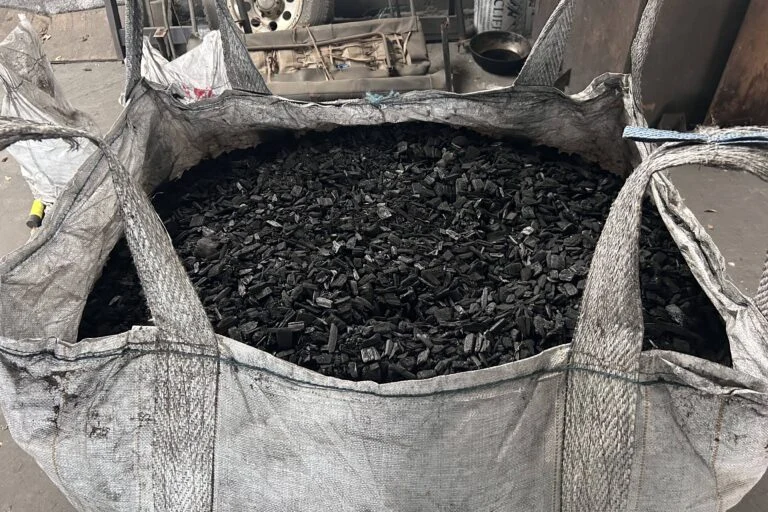 The Carbon Paradox: How a Corporate Fix for Climate Change is Colliding with the Realities of India’s Banni Grasslands