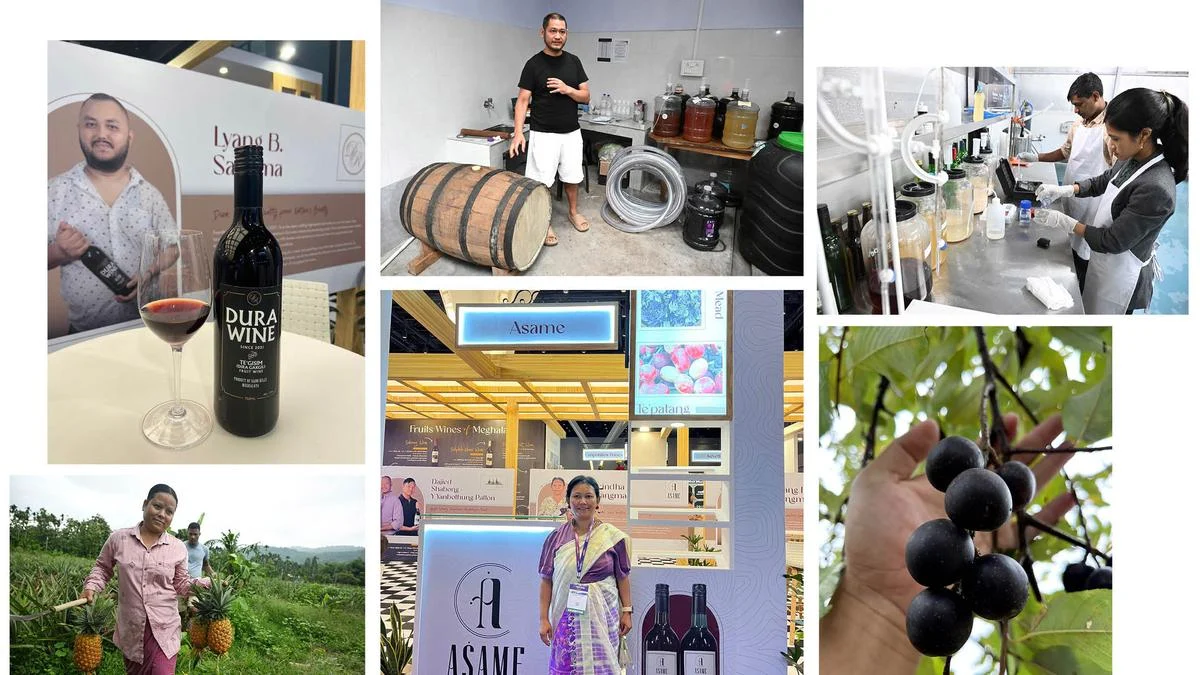 The Fruit Wine Renaissance: How Meghalaya is Crafting a New Spirit for the Northeast
