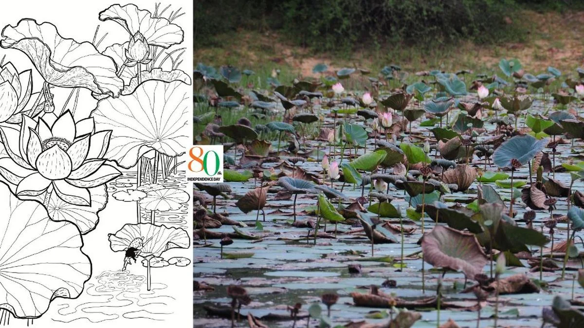 The Soul of the Journey: Redefining Travel Through the Lens of Indian Craft and Serendipity