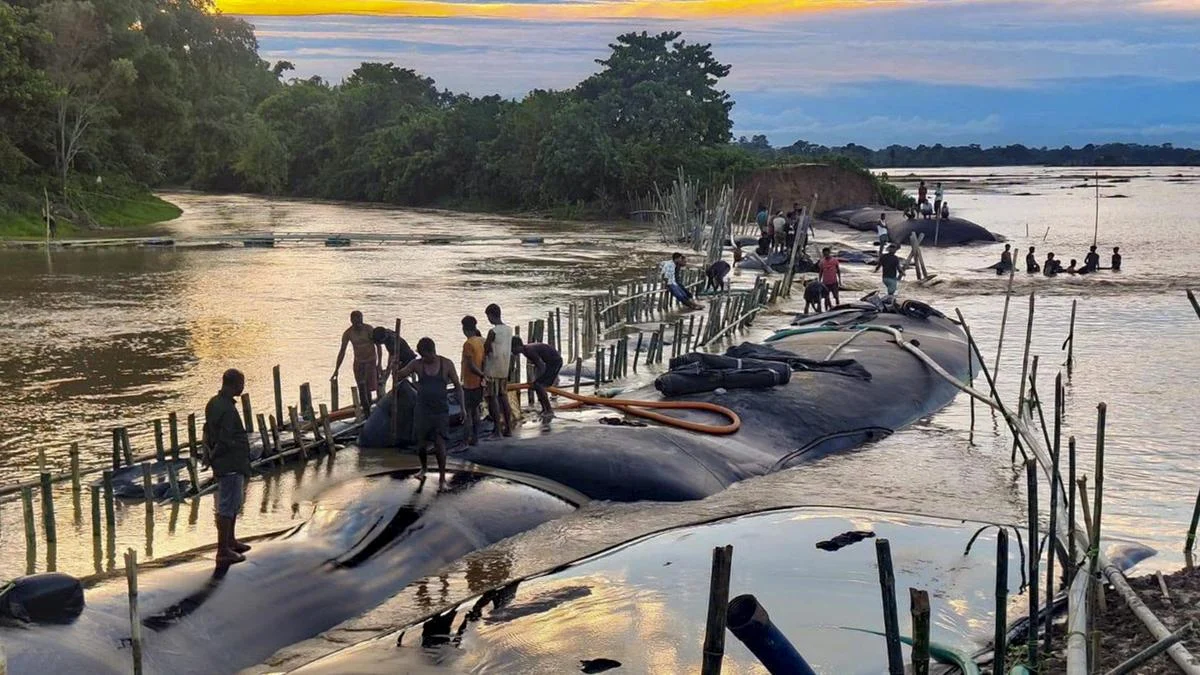 The Unquiet Waters: Understanding the Persistent Tragedy and Resilience of Assam’s Flood Crisis