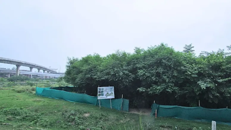 The Urban Greening Paradox: Why Dense Canopies May Be Turning Humid Cities into Heat Traps