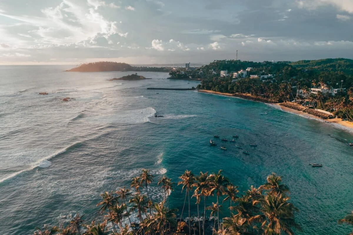 The Warming Frontier: The Evolution, Ecology, and Uncertain Future of the Indian Ocean