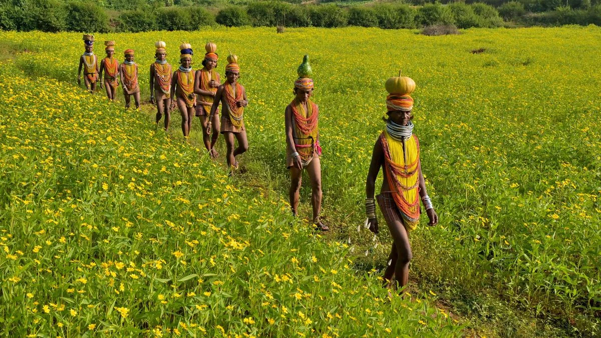 Threads of Antiquity: The Resilient Weavers of the Bonda Hills and the Evolution of the Ringa