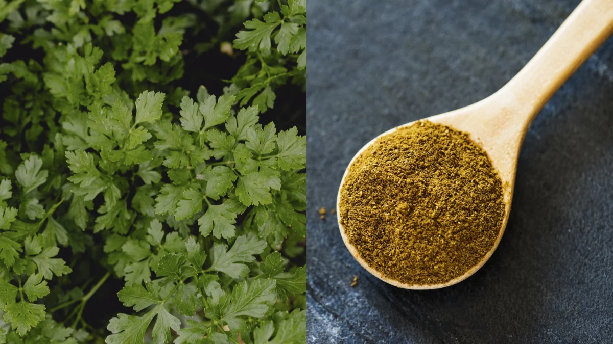 FSSAI Orders Market Recall of Adulterated Coriander Powder and Carrageenan Due to Contamination