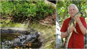 Half a Century of Scales and Stewardship: The Evolution of the Madras Crocodile Bank Trust