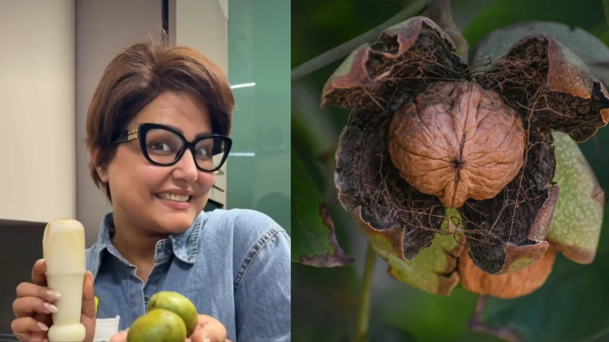Kashmiri Roots and Walnut Wisdom: Hina Khan’s Nostalgic Reverie Sparks Nutritional Insight