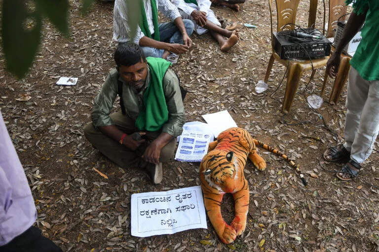 The Paradox of Success: India’s Rebounding Tiger Population and the Crisis of Coexistence