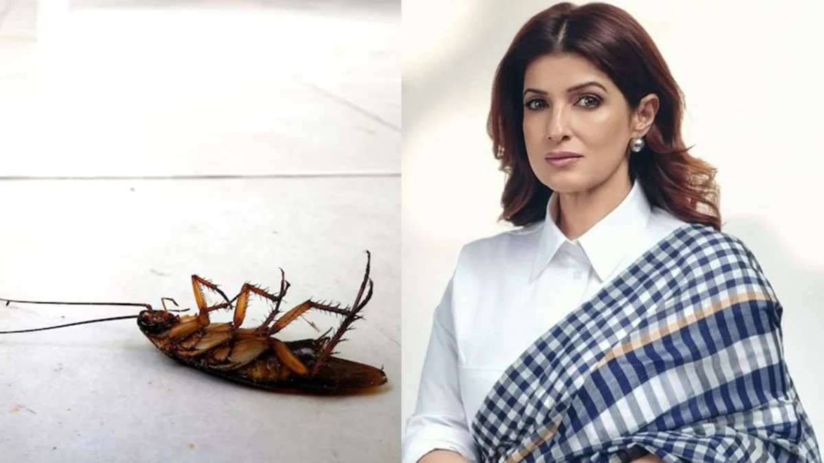 Twinkle Khanna’s Kitchen Pest Solution: A Natural Approach Meets Expert Scrutiny