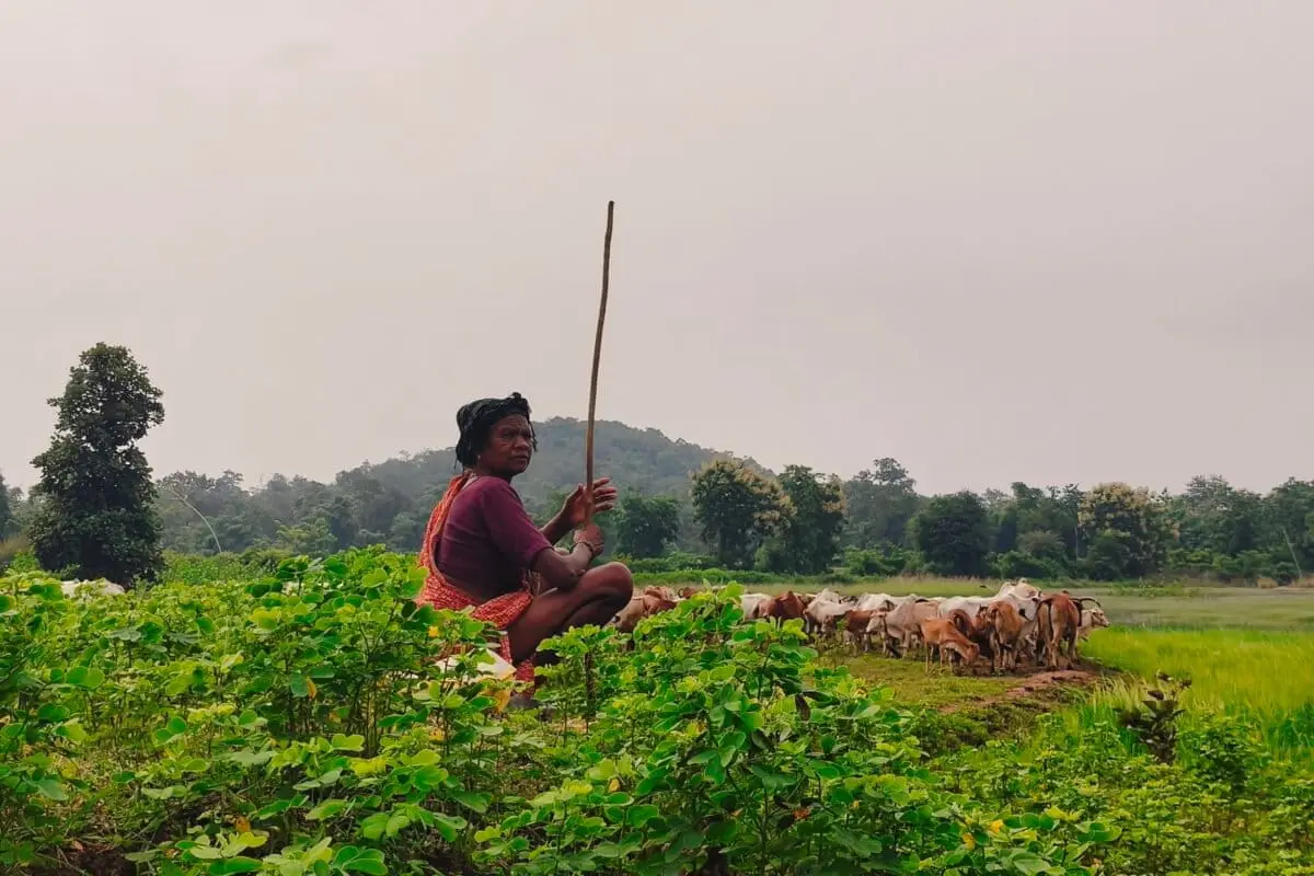A Landmark Shift in Indian Agronomy: Maharashtra’s Recognition of the ‘Invisible’ Woman Farmer