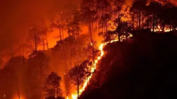 Rising Infernos in the East, Cooling Embers in the West: A Two-Decade Analysis of India’s Shifting Forest Fire Regimes