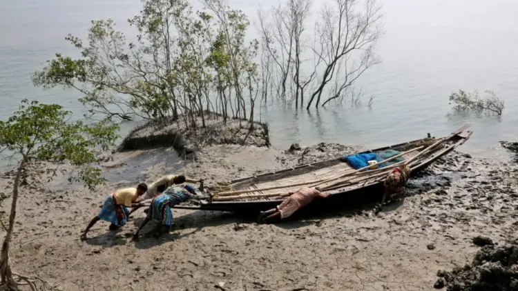 The Vanishing Frontier: Climate Crisis and the Struggle for Survival in the Sundarbans